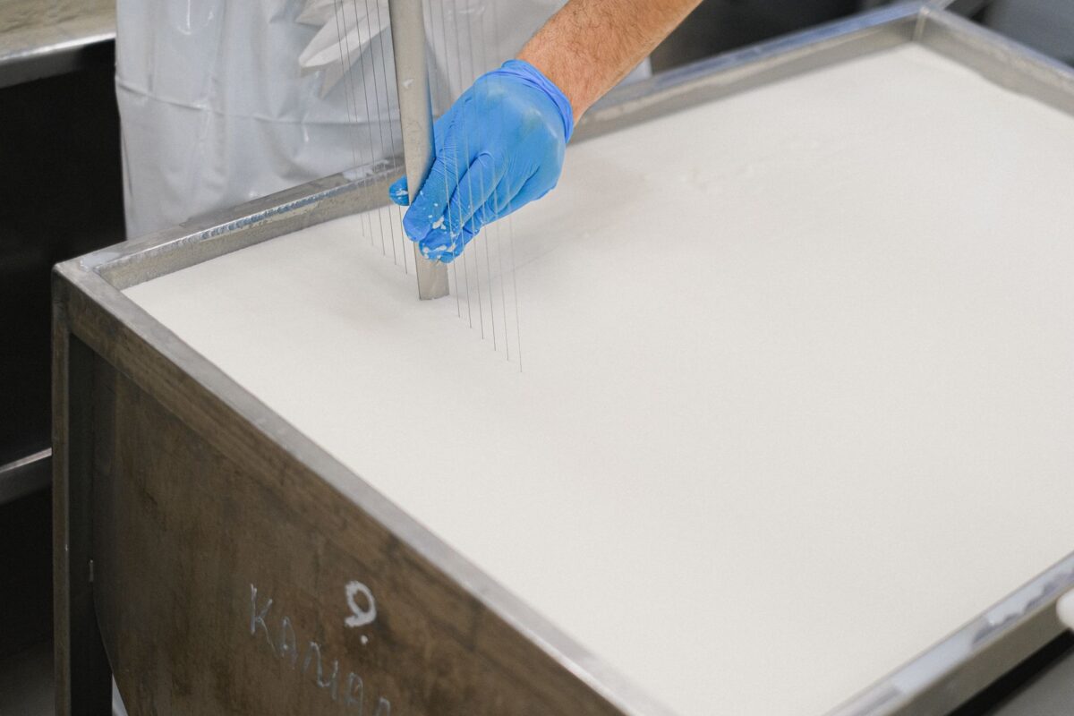 lait pasteurisé femme cru