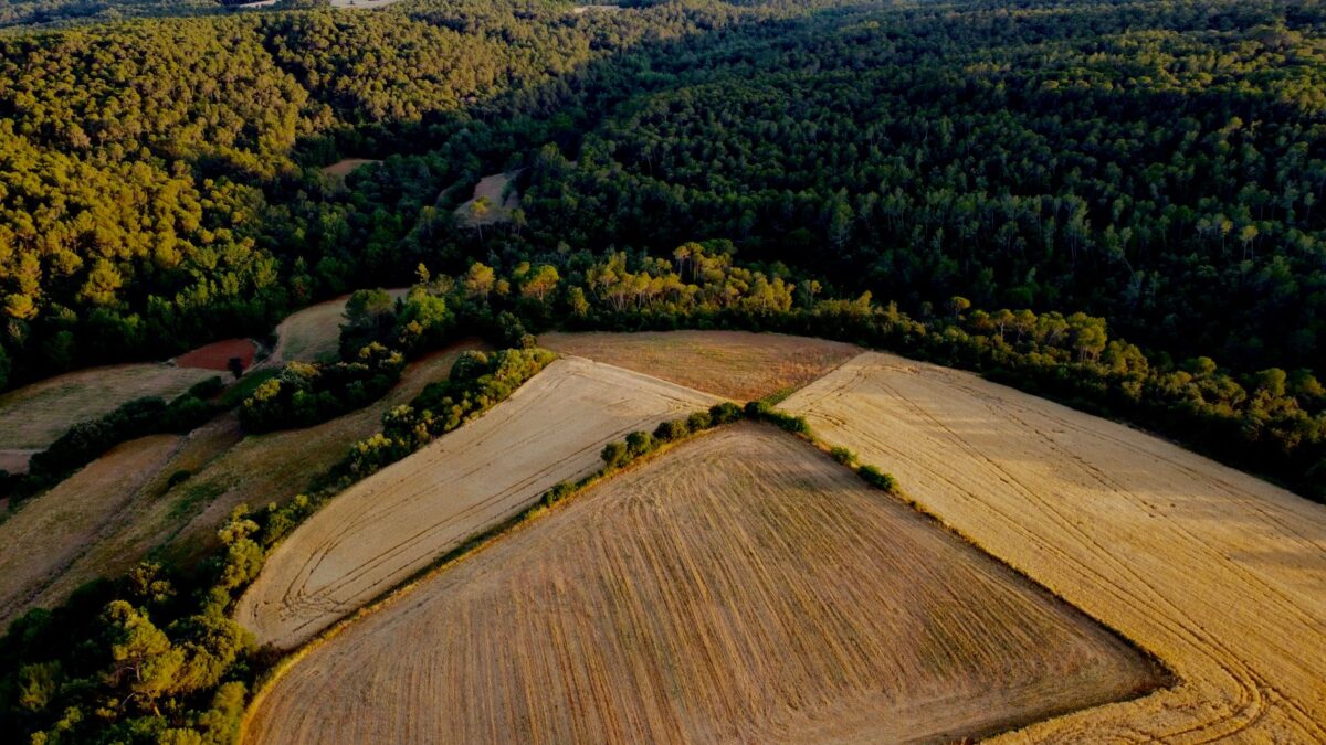 combien mesure terrain erreurs fréquentes éviter